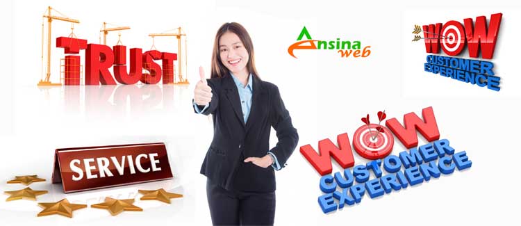 why-chose-ansina-web2